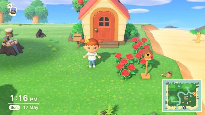 animal crossing: first impressions – the dragon's tea party